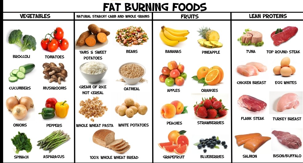 Effective Weight Loss Foods