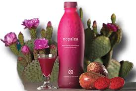 Nopalea Cactus Juice Review