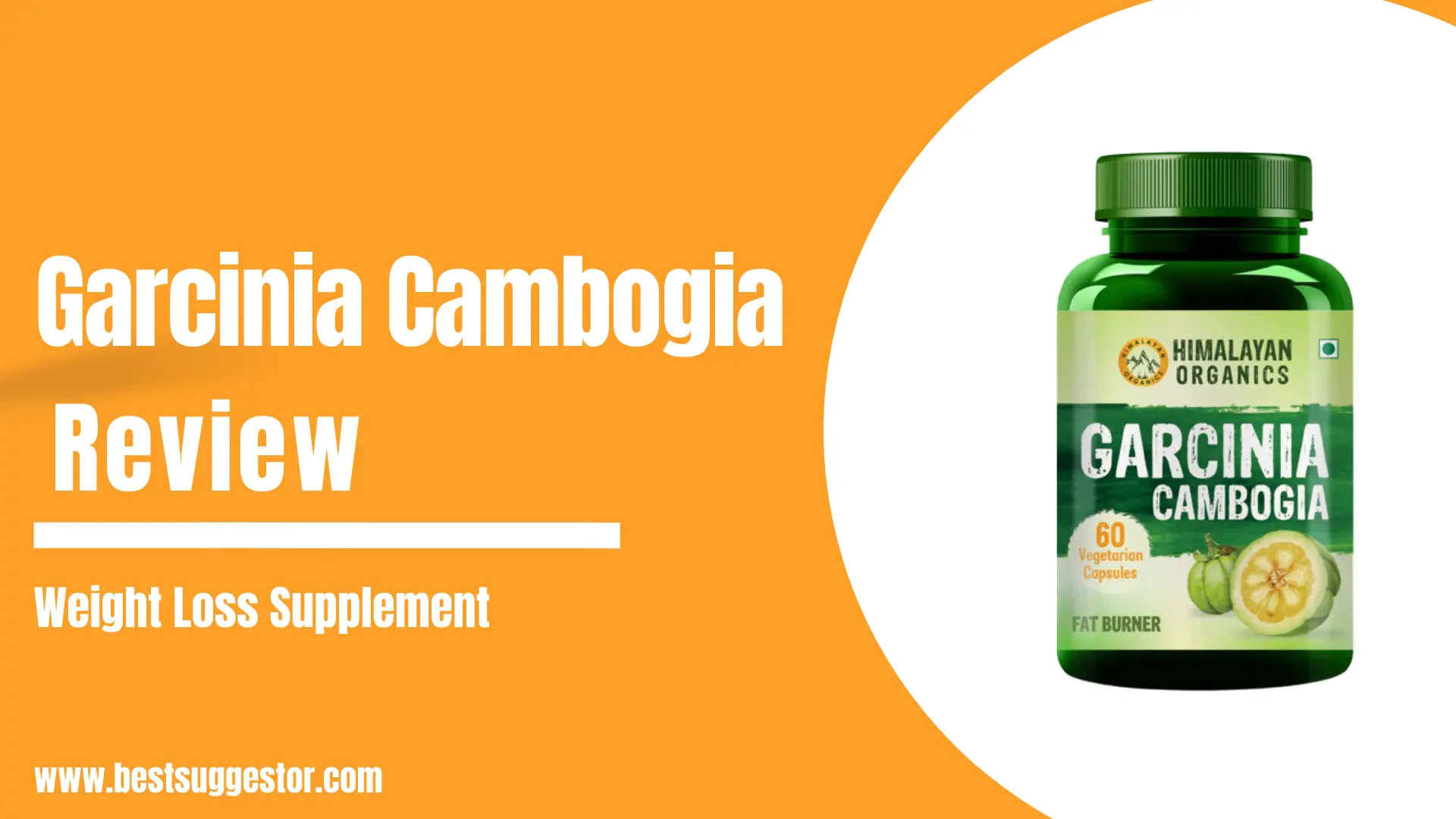 Garcinia Cambogia –The Best Supplements For Weight Loss