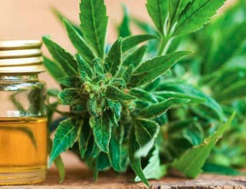 CBD Oil (Cannabidiol) – 8 Benefits You Need to Know